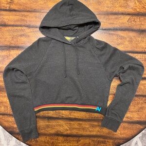 Aviator Nation rainbow stripe cropped hoodie